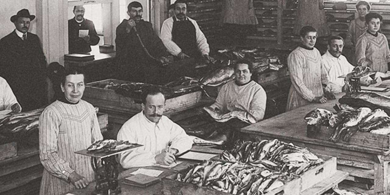 WMF - Fischhalle
