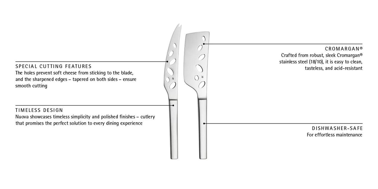 image-alt-69c39ae9d8b7c