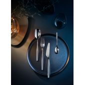 SET 30 WMF SENTIC CP