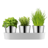 HERB GARDEN 3PCS.