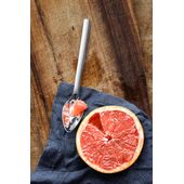 GRAPEFRUIT SPOON NUOVA