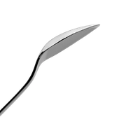 GRAPEFRUIT SPOON NUOVA