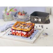 Springform square 24x24 SafeClick LFP