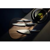CE DS CARVING KNIFE 20CM