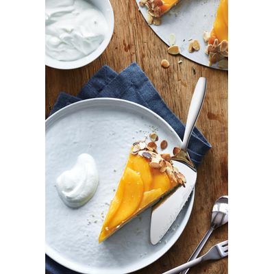 CAKE SERVER WITH BLADE