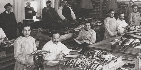 WMF - Fischhalle