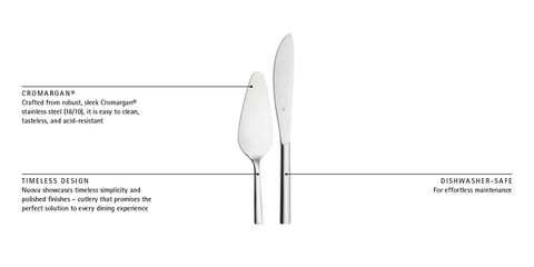 image-alt-69c202430aff1