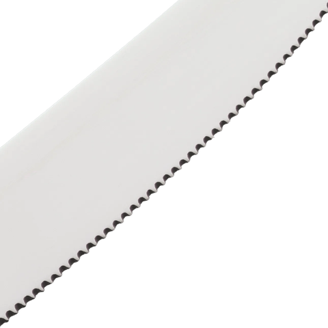 image-alt-6ab31e7f9532b