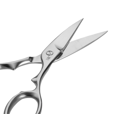 image-alt-69c1bdfaa85f2