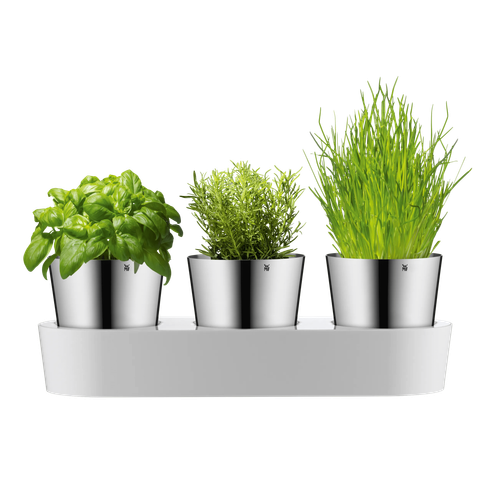 image-alt-69c201f73b96e