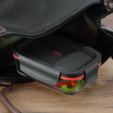 image-alt-69ccac676a77a