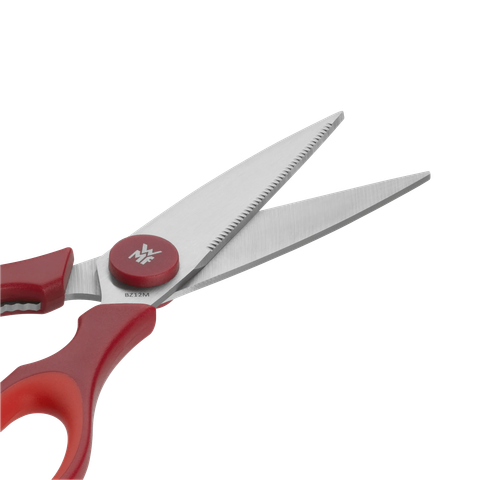 image-alt-69c2b7fd2d7c2