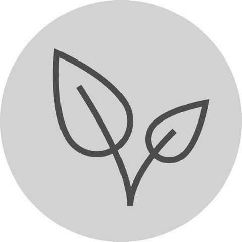 image-alt-699e6d8f01b0a