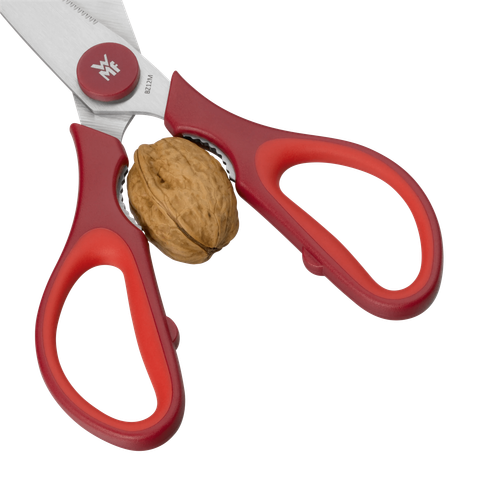 image-alt-69c2b7fd2d87e