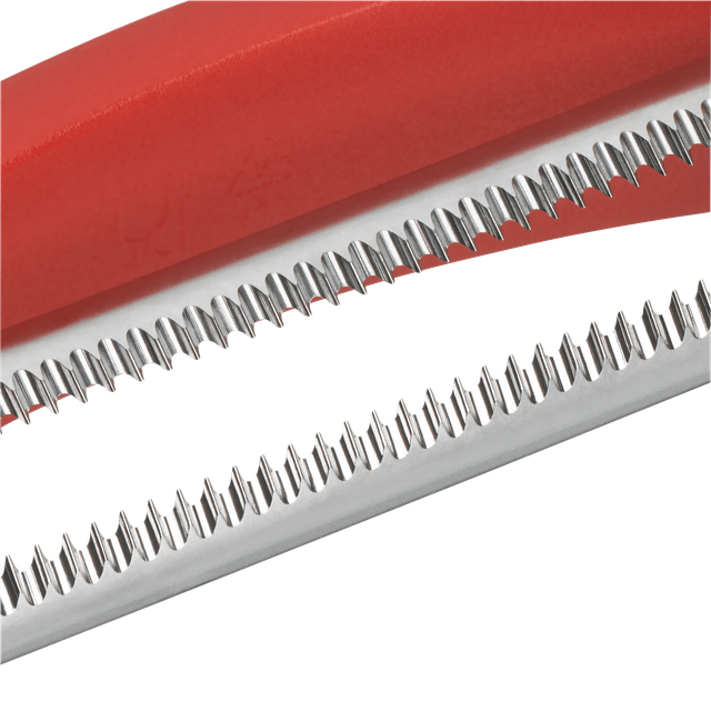 image-alt-69c2a72c56486