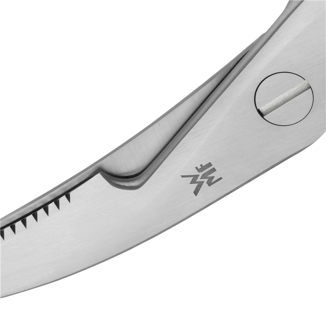 image-alt-699e6bc47bb57 image-alt-699e6bc47bb57