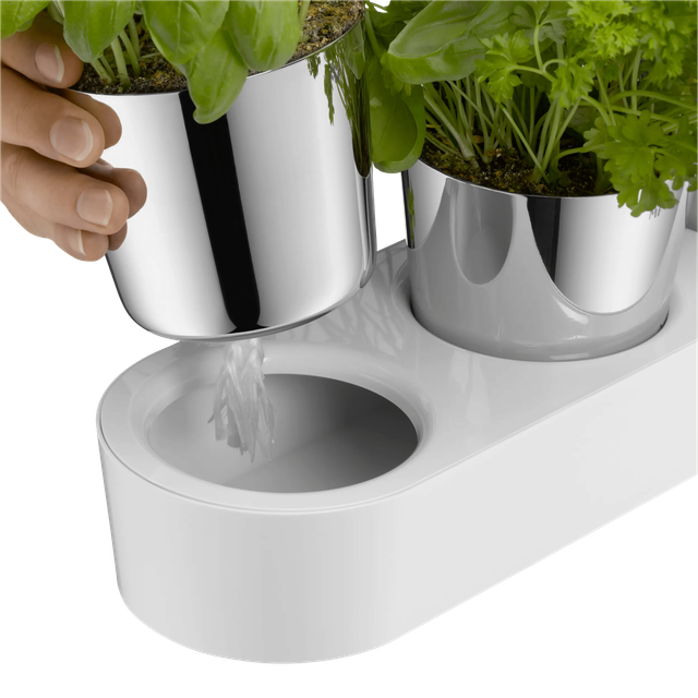 image-alt-69c201f73b8c8