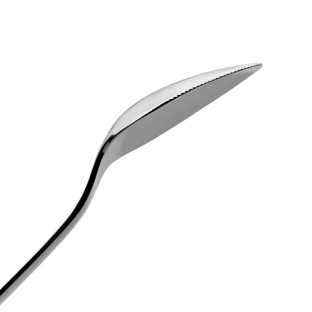 image-alt-69c475aa163ce