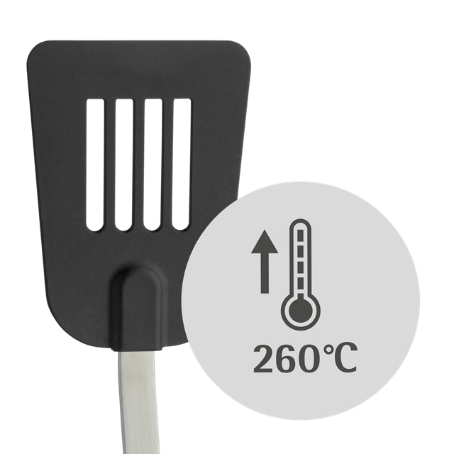 image-alt-69c2f86981798