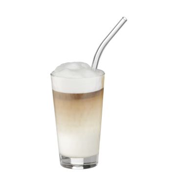BARIC STRAW 6PC 22CM